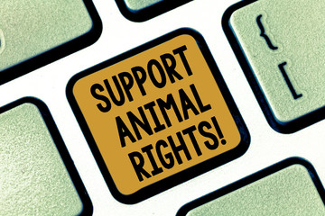 Text sign showing Support Animal Rights. Conceptual photo protection and proper treatment of all animals Keyboard key Intention to create computer message pressing keypad idea