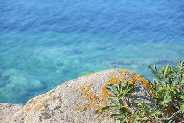Natural grey stone with yellow moss and green exotic plants on blurred turquoise sea background. Blurred Azure sea with clear water and rocks at summer sunny day. Summertime background. Endless summer