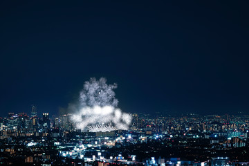 なにわ淀川花火大会