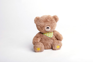 toy cute soft brown  Teddy bear isolated on white background