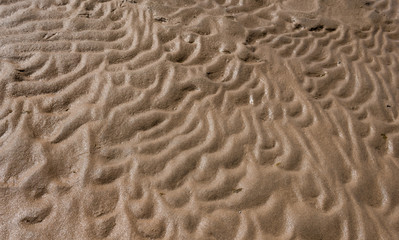 Ripples in wet sand background texture. Beach sand background