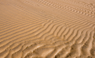 Fototapeta na wymiar Ripples in wet sand background texture. Beach sand background