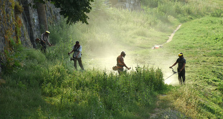 Plakat Gardeners mowing the grass with a lawn mower