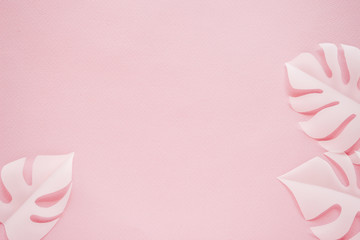 Tropical palm leaf on pink background. Flat lay, top view