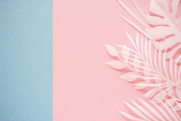 Tropical palm leaf on pink background. Flat lay, top view