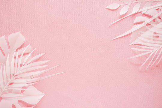 Tropical Palm Leaf On Pink Background. Flat Lay, Top View