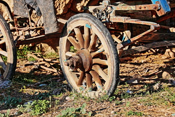Fototapeta na wymiar Wheel of an old horse carriage