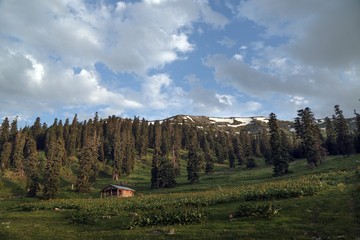 village houses in the forest .artvin turkey