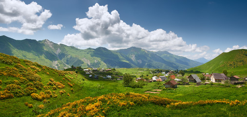 Fototapeta na wymiar Scenic panoramic landscape of a green mountain valley in summer. Village with blossoming flowers and traditional houses. Georgia(country)
