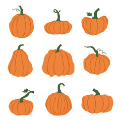 Cartoon halloween pumpkin set. Different shapes and sizes orange gourd isolated on white background. Hand drawn various pumpkins. Orange pumpkin for the holiday Halloween. Vector illustration.