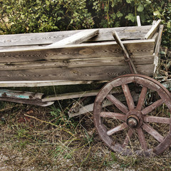 Fototapeta na wymiar Old cart on the background of bushes