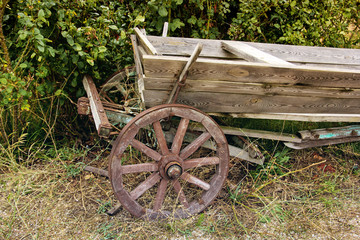 Fototapeta na wymiar Old cart on the background of bushes