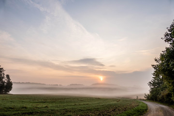 Sonnenaufgang über Feld im Nebel