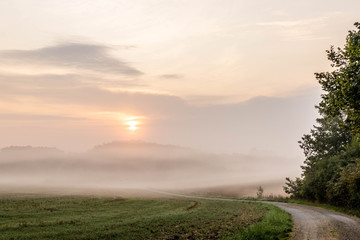 Naklejka na ściany i meble Sonnenaufgang über Feld im Nebel