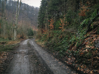 Christmas rides, trying to finish the Festive 500