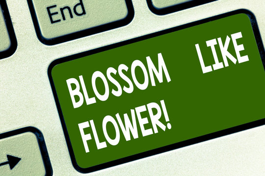 Word writing text Blossom Like Flower. Business concept for plant or tree that will form the seeds or fruit Keyboard key Intention to create computer message pressing keypad idea