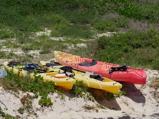 Colorful kayaks lined up on a grassy patch in a beach