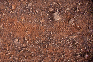 Marcas de pneumático de bicicleta (mountain bike)