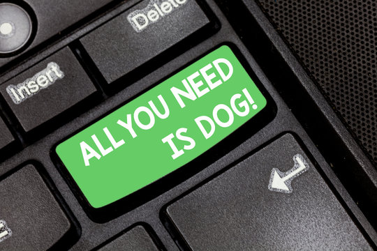 Handwriting text All You Need Is Dog. Concept meaning Get a puppy to be happier canine lovers cute animals Keyboard key Intention to create computer message pressing keypad idea