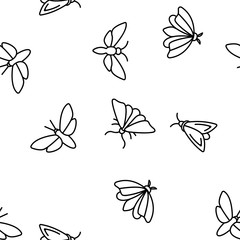 Moth, Insects Entomologist Seamless Pattern Vector Thin Line Illustration