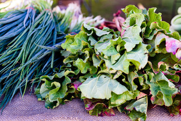 Fresh organic Swiss chard and spring onions for sales in a farmers market.