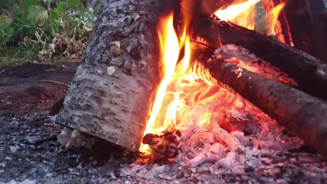 Bonfire burning. Coals in the fire. Burning.