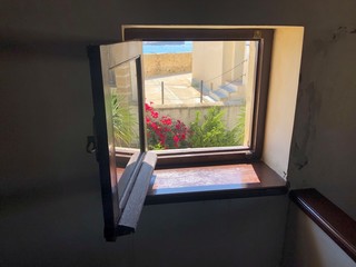 Window