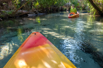 Kayaking on Juniper Springs Creek, Florida