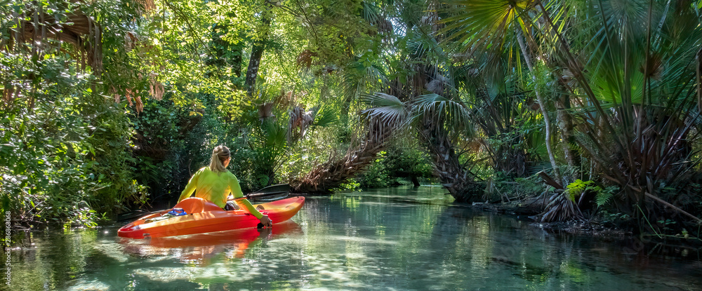 Wall mural kayaking on juniper springs creek, florida