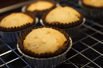 side view of Home made Banana cup cake in oven.