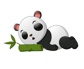 Cute panda sleep on bamboo