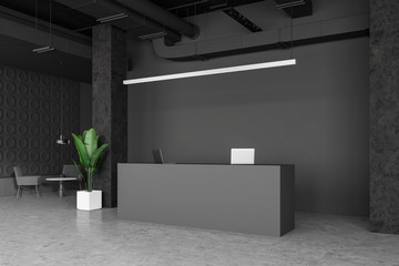 Gray office reception in industrial style