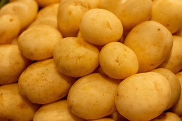 Fresh white potato piled on the market. Food backgroumd. Harvest