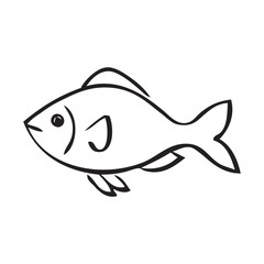 Balck and white fish on white backdrop