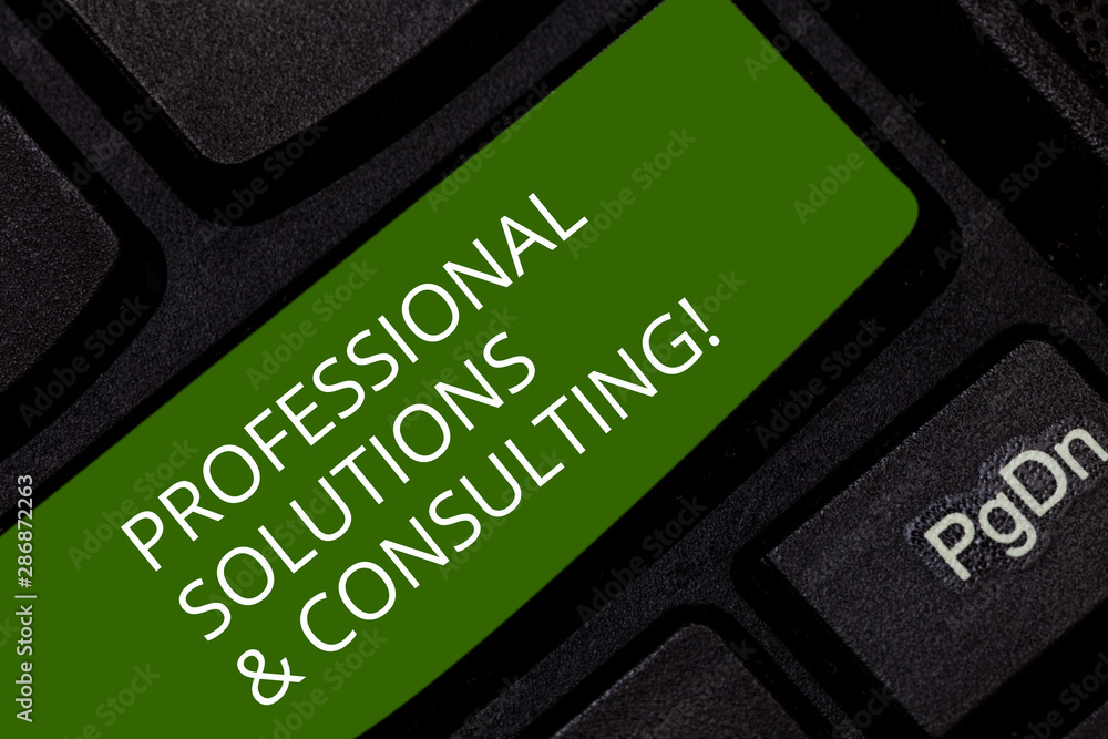 Poster conceptual hand writing showing professional solutions and consulting. business photo showcasing bus