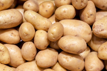 Fresh organic young potatoes sold on market. Food.