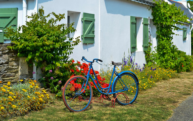Fototapeta na wymiar Sonniger Blick auf ein Fenster mit grünen Fensterläden und einer Hauswand, vor der ein buntes Fahrrad steht und viele Blumen blühen