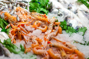 Verious fresh sea products in the market. Fish and other marine products on the ice.