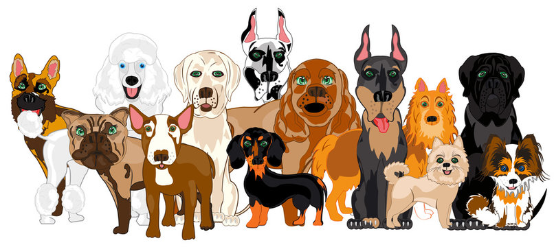 Vector illustration of the group of the dogs of the varied sorts