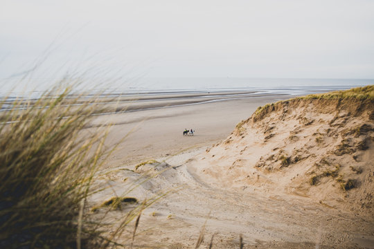 beach and sea