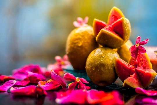 Raw organic guava or amrut or amarood in Hindi language on black shinny surface in a blue-colored plate with some rose petals.