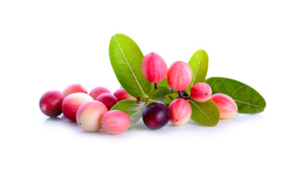 bengal-currants, carandas-plum, on a white background