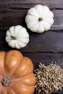 Composition of pumpkins and dry flowers on wood background