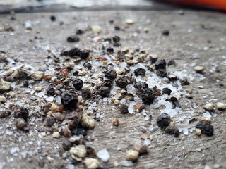 shells on the beach