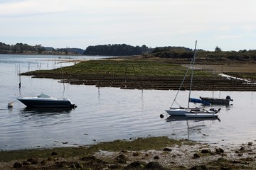 Parc à huîtres à marée basse