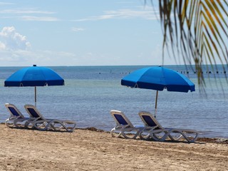 Blue loungers and umbrella at Hicks Beach along S. Roosevelt Boulevard, Key West, Florida.
