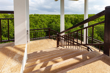 Spiral staircase in sightseeing tower mangrove forest