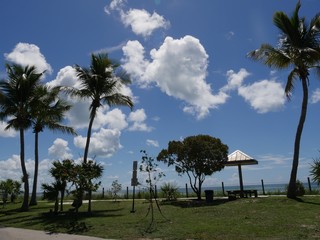 Coconut trees and open cottage along the coastal view of S Roosevelt Boulevard, Key West, Florida.
