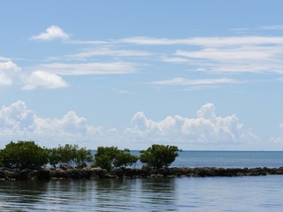 Pile of rocks in the ocean along the Florida coast