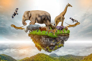 Wildlife Conservation Day Wild animals to the home. Or wildlife protection